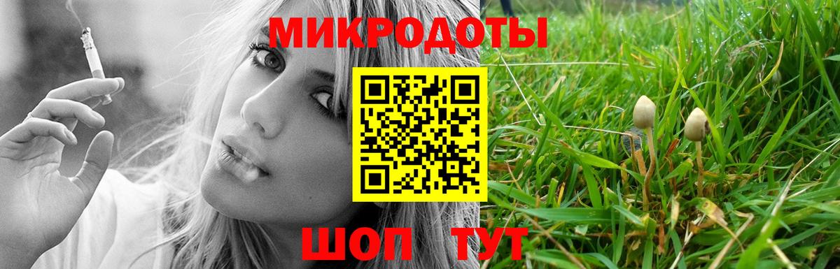 Свободный  Галлюциногенные грибы Psilocybine cubensis  Вход с VPN 