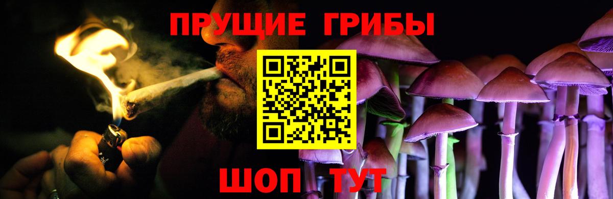 Галлюциногенные грибы прущие грибы Свободный